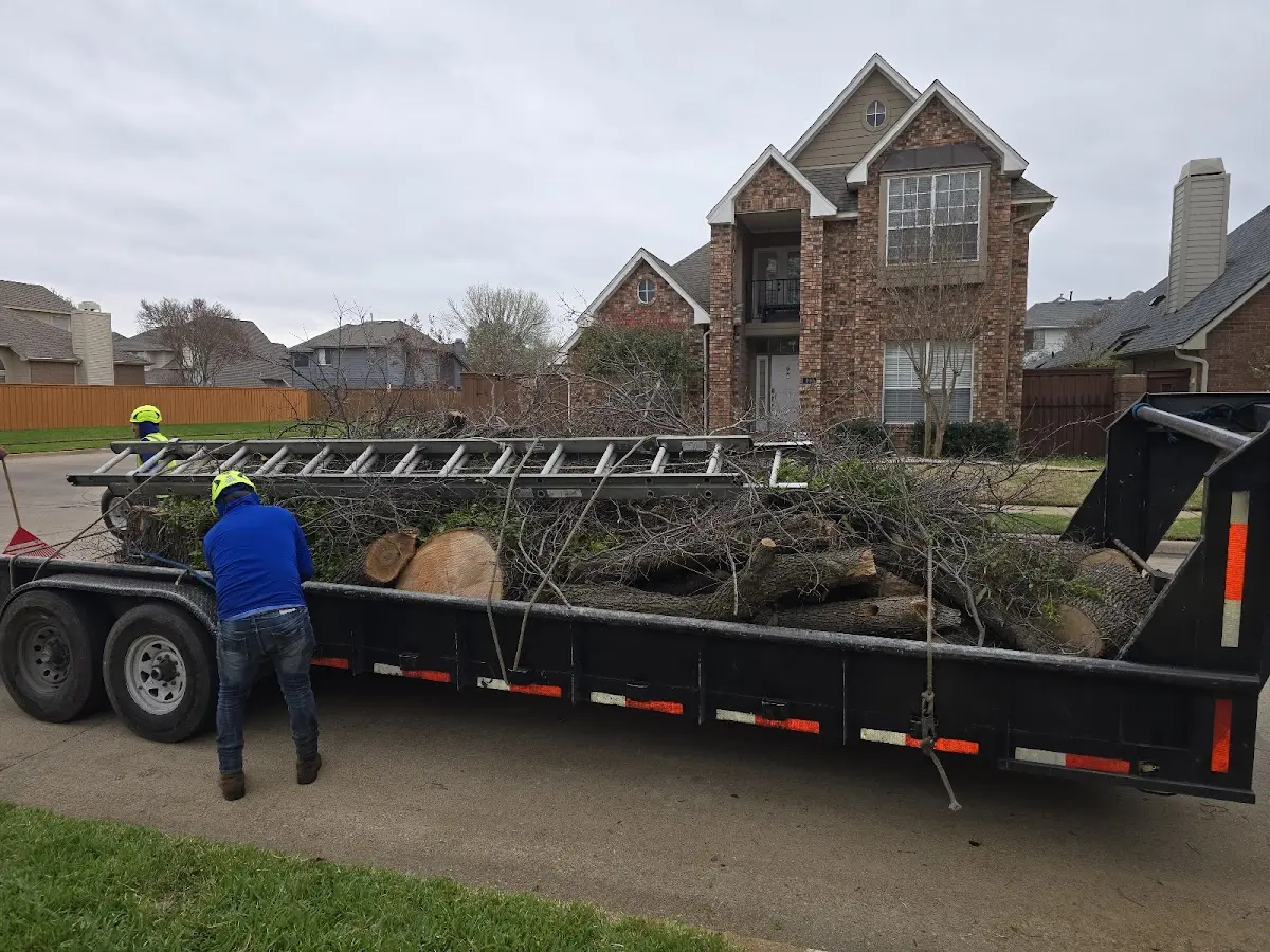Expert Lot Clearing with proper safety equipment in Wolfe City
